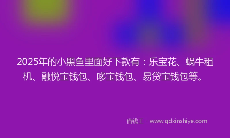 2025年的小黑鱼里面好下款有：乐宝花、蜗牛租机、融悦宝钱包、哆宝钱包、易贷宝钱包等。