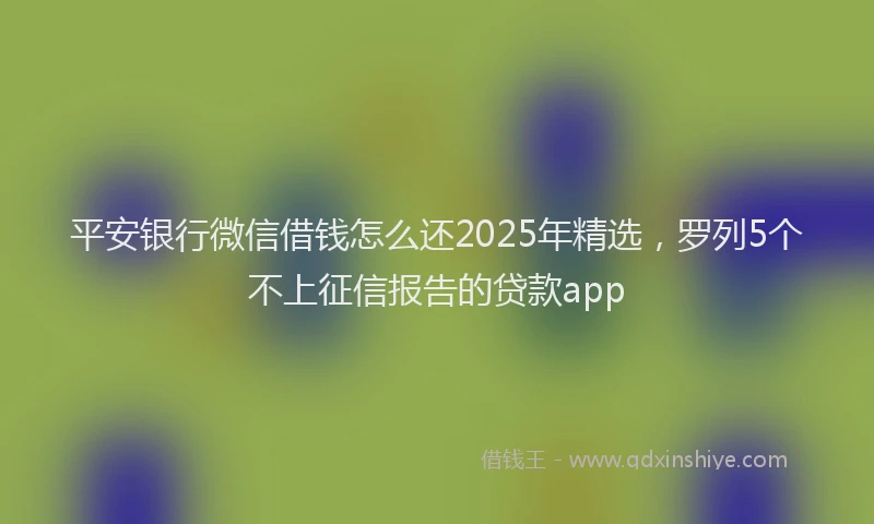 平安银行微信借钱怎么还2025年精选，罗列5个不上征信报告的贷款app