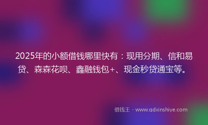 2025年的小额借钱哪里快有：现用分期、信和易贷、森森花呗、鑫融钱包+、现金秒贷通宝等。