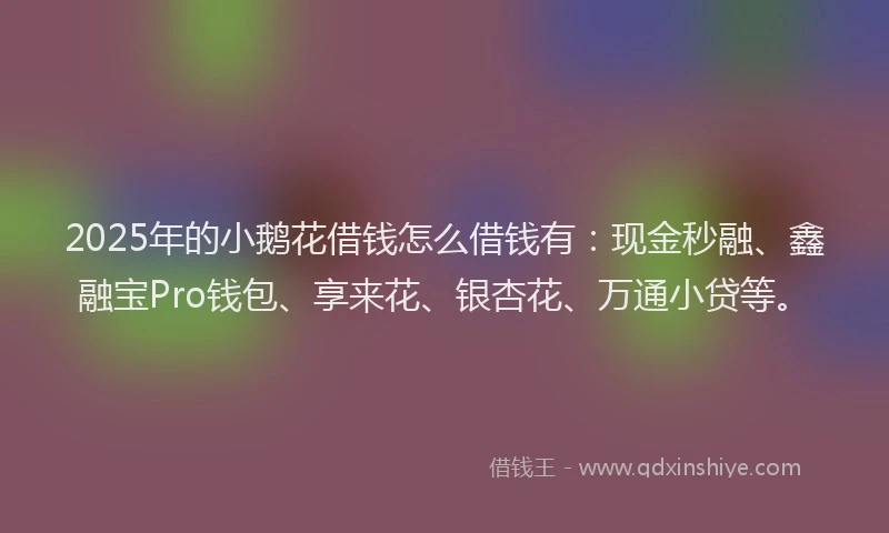 2025年的小鹅花借钱怎么借钱有：现金秒融、鑫融宝Pro钱包、享来花、银杏花、万通小贷等。