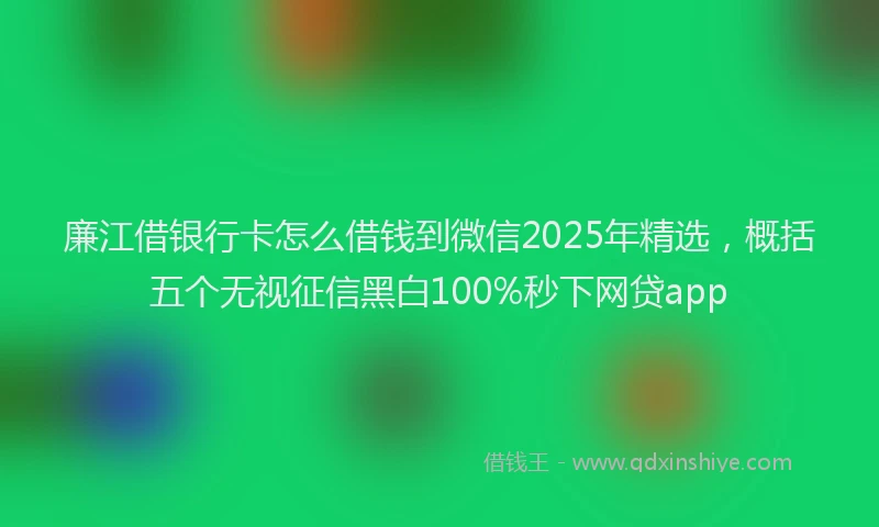 廉江借银行卡怎么借钱到微信2025年精选，概括五个无视征信黑白100%秒下网贷app