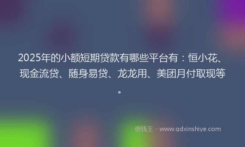 2025年的小额短期贷款有哪些平台有：恒小花、现金流贷、随身易贷、龙龙用、美团月付取现等。