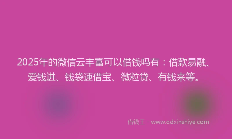 2025年的微信云丰富可以借钱吗有：借款易融、爱钱进、钱袋速借宝、微粒贷、有钱来等。