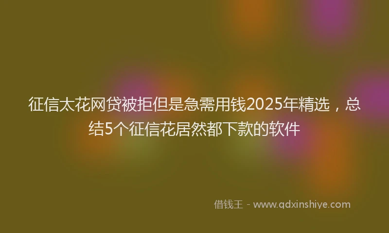 征信太花网贷被拒但是急需用钱2025年精选，总结5个征信花居然都下款的软件
