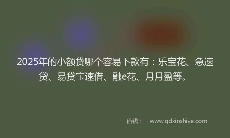 2025年的小额贷哪个容易下款有：乐宝花、急速贷、易贷宝速借、融e花、月月盈等。