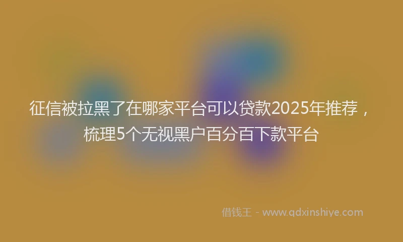 征信被拉黑了在哪家平台可以贷款2025年推荐，梳理5个无视黑户百分百下款平台