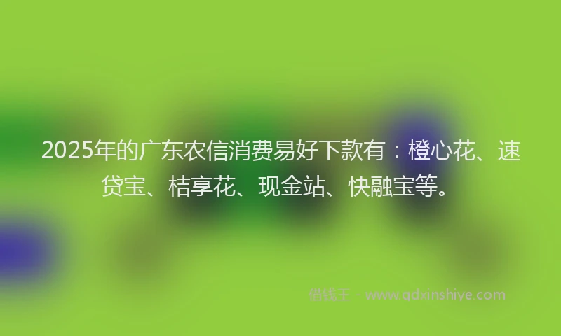 2025年的广东农信消费易好下款有：橙心花、速贷宝、桔享花、现金站、快融宝等。