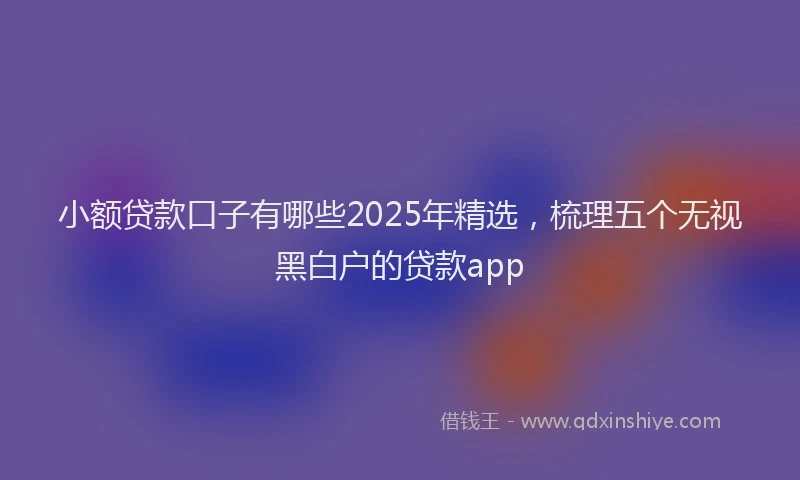 小额贷款口子有哪些2025年精选，梳理五个无视黑白户的贷款app