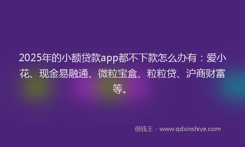 2025年的小额贷款app都不下款怎么办有：爱小花、现金易融通、微粒宝盒、粒粒贷、沪商财富等。