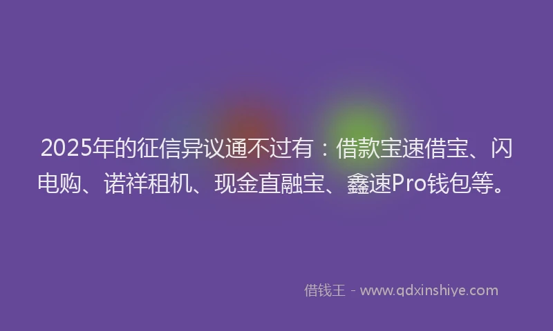 2025年的征信异议通不过有：借款宝速借宝、闪电购、诺祥租机、现金直融宝、鑫速Pro钱包等。