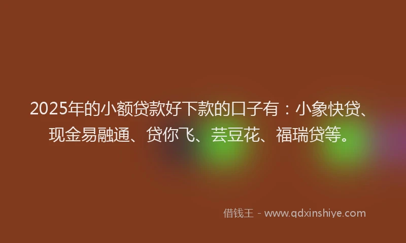 2025年的小额贷款好下款的口子有：小象快贷、现金易融通、贷你飞、芸豆花、福瑞贷等。