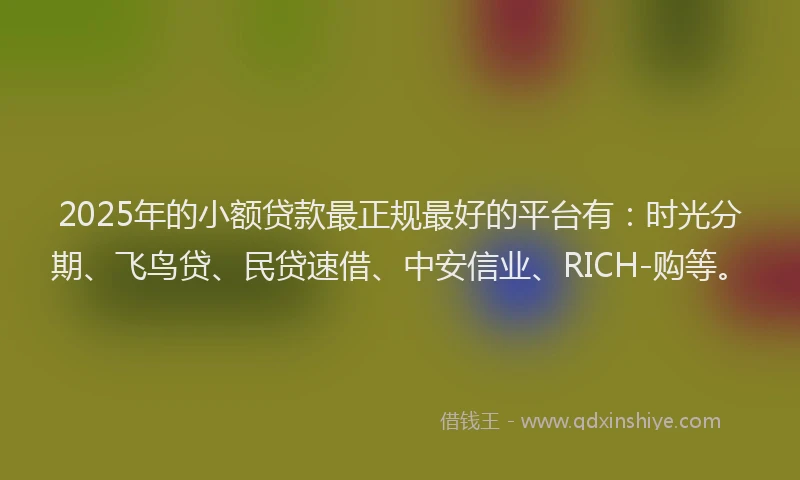 2025年的小额贷款最正规最好的平台有：时光分期、飞鸟贷、民贷速借、中安信业、RICH-购等。