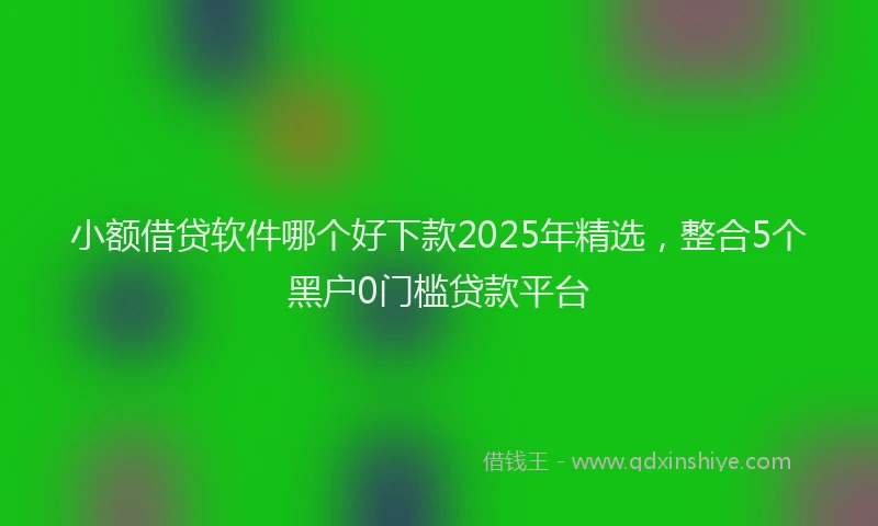 小额借贷软件哪个好下款2025年精选，整合5个黑户0门槛贷款平台
