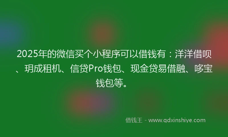2025年的微信买个小程序可以借钱有：洋洋借呗、玥成租机、信贷Pro钱包、现金贷易借融、哆宝钱包等。