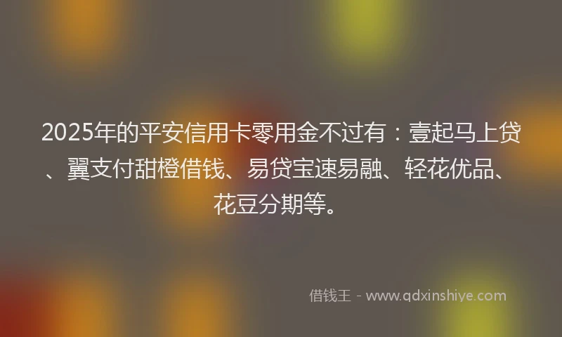 2025年的平安信用卡零用金不过有：壹起马上贷、翼支付甜橙借钱、易贷宝速易融、轻花优品、花豆分期等。