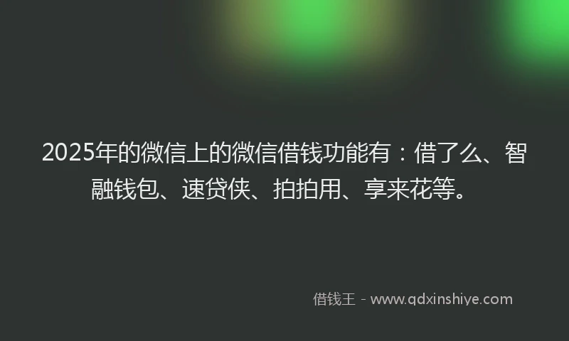 2025年的微信上的微信借钱功能有：借了么、智融钱包、速贷侠、拍拍用、享来花等。
