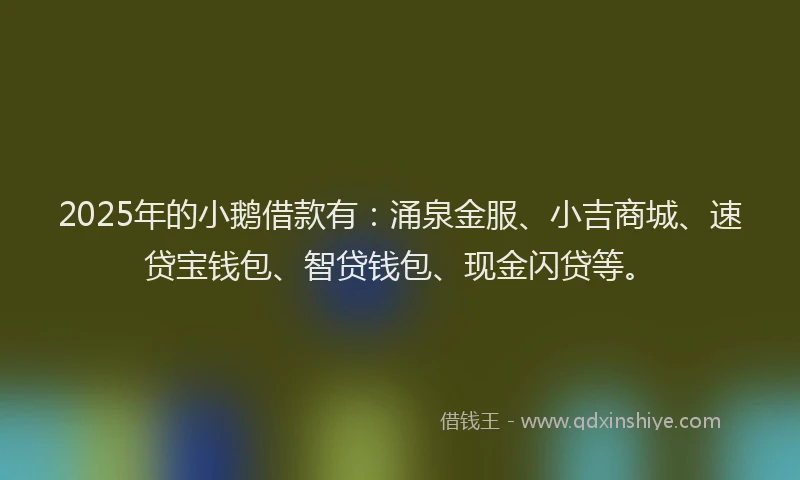 2025年的小鹅借款有：涌泉金服、小吉商城、速贷宝钱包、智贷钱包、现金闪贷等。