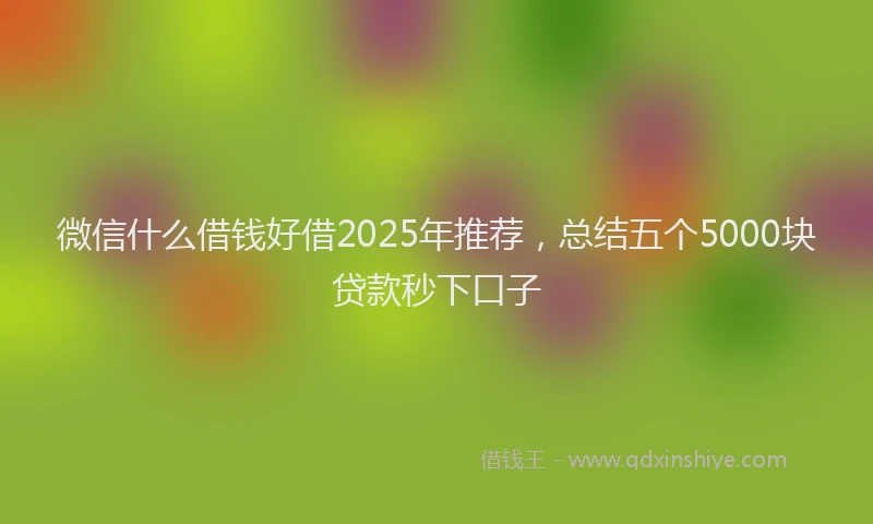 微信什么借钱好借2025年推荐，总结五个5000块贷款秒下口子