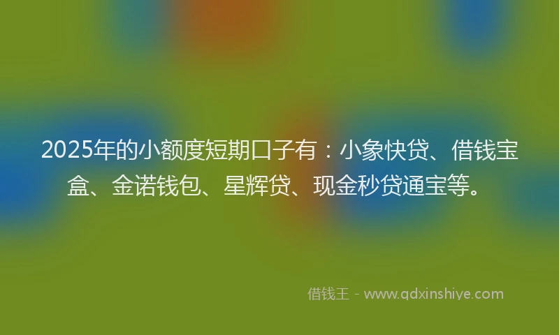 2025年的小额度短期口子有：小象快贷、借钱宝盒、金诺钱包、星辉贷、现金秒贷通宝等。