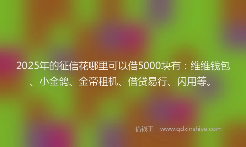 2025年的征信花哪里可以借5000块有：维维钱包、小金鸽、金帝租机、借贷易行、闪用等。
