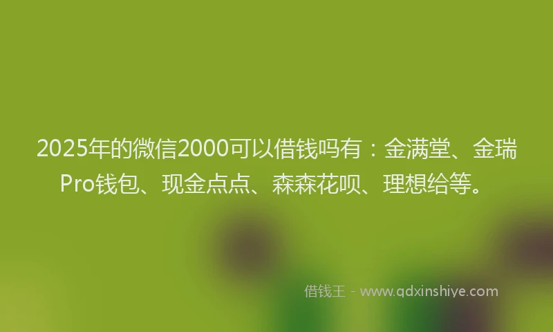 2025年的微信2000可以借钱吗有：金满堂、金瑞Pro钱包、现金点点、森森花呗、理想给等。