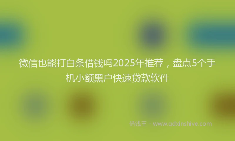 微信也能打白条借钱吗2025年推荐，盘点5个手机小额黑户快速贷款软件