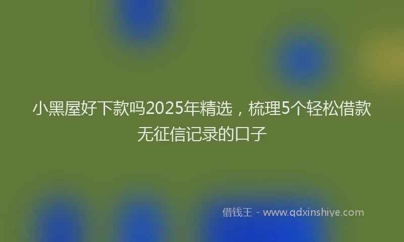 小黑屋好下款吗2025年精选，梳理5个轻松借款无征信记录的口子