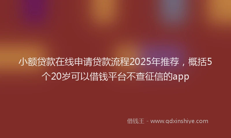 小额贷款在线申请贷款流程2025年推荐，概括5个20岁可以借钱平台不查征信的app
