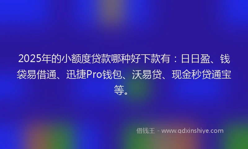 2025年的小额度贷款哪种好下款有：日日盈、钱袋易借通、迅捷Pro钱包、沃易贷、现金秒贷通宝等。