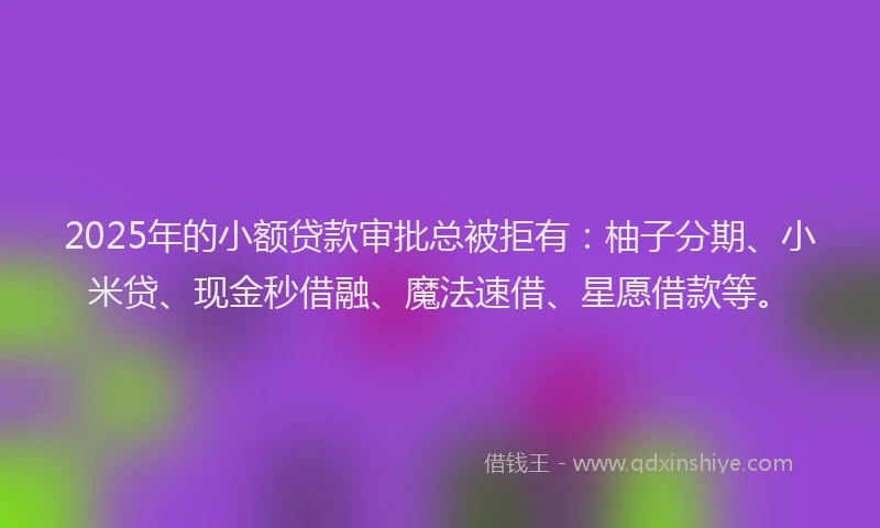 2025年的小额贷款审批总被拒有：柚子分期、小米贷、现金秒借融、魔法速借、星愿借款等。