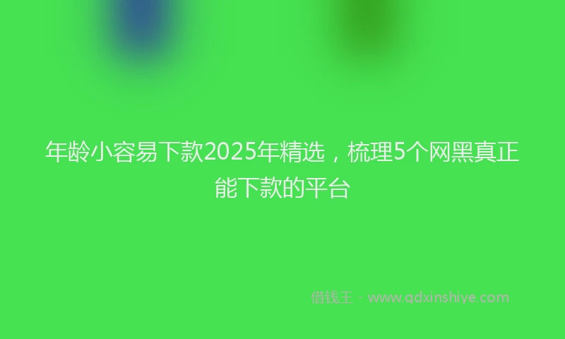 年龄小容易下款2025年精选，梳理5个网黑真正能下款的平台