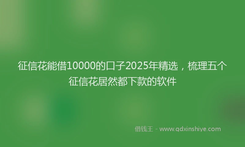 征信花能借10000的口子2025年精选，梳理五个征信花居然都下款的软件