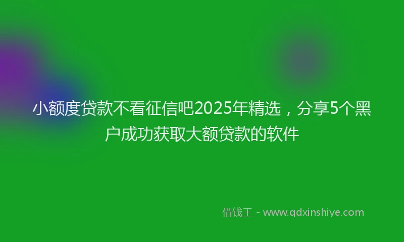 小额度贷款不看征信吧2025年精选，分享5个黑户成功获取大额贷款的软件