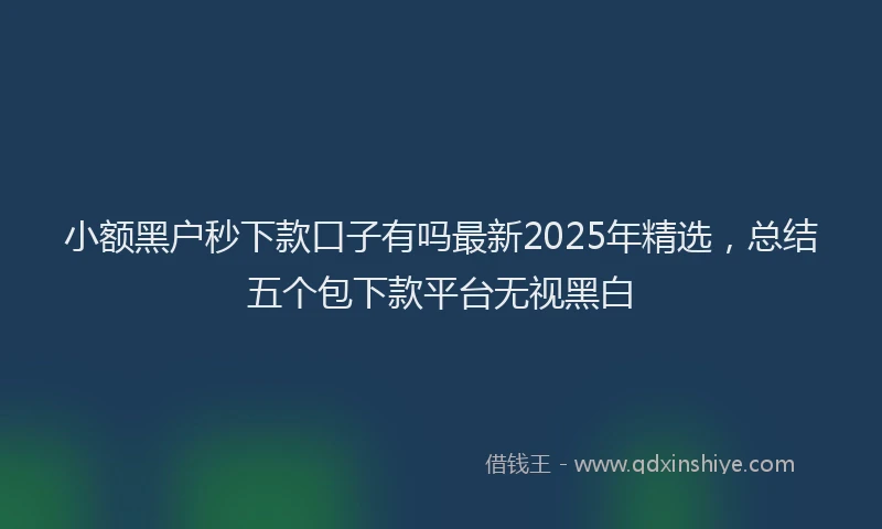小额黑户秒下款口子有吗最新2025年精选，总结五个包下款平台无视黑白