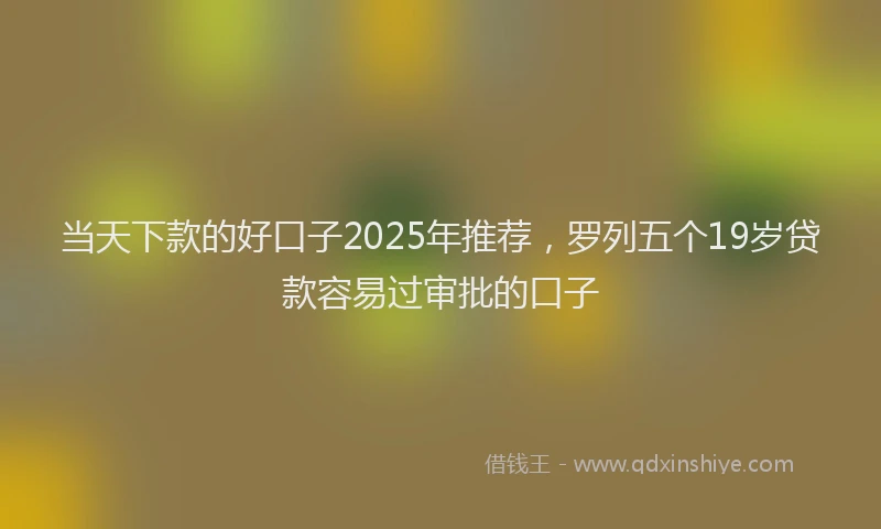 当天下款的好口子2025年推荐，罗列五个19岁贷款容易过审批的口子