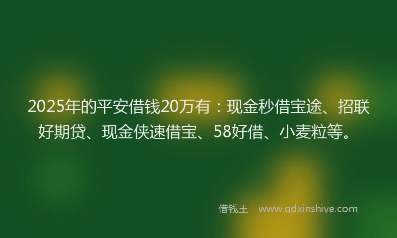 2025年的平安借钱20万有：现金秒借宝途、招联好期贷、现金侠速借宝、58好借、小麦粒等。