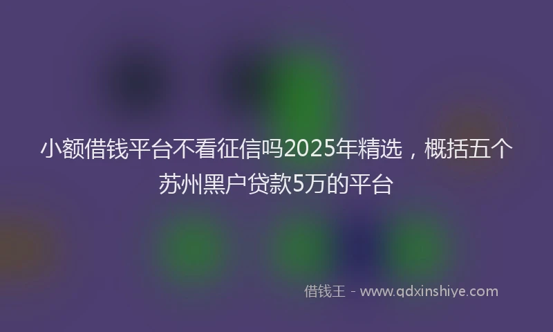 小额借钱平台不看征信吗2025年精选，概括五个苏州黑户贷款5万的平台