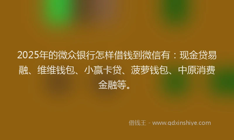 2025年的微众银行怎样借钱到微信有：现金贷易融、维维钱包、小赢卡贷、菠萝钱包、中原消费金融等。