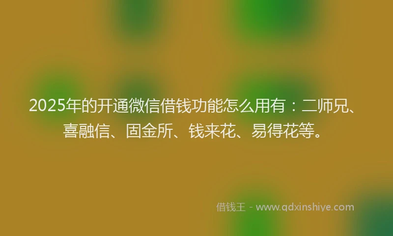 2025年的开通微信借钱功能怎么用有：二师兄、喜融信、固金所、钱来花、易得花等。