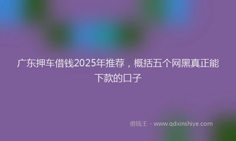 广东押车借钱2025年推荐，概括五个网黑真正能下款的口子
