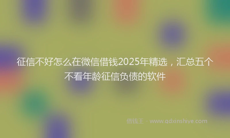 征信不好怎么在微信借钱2025年精选，汇总五个不看年龄征信负债的软件