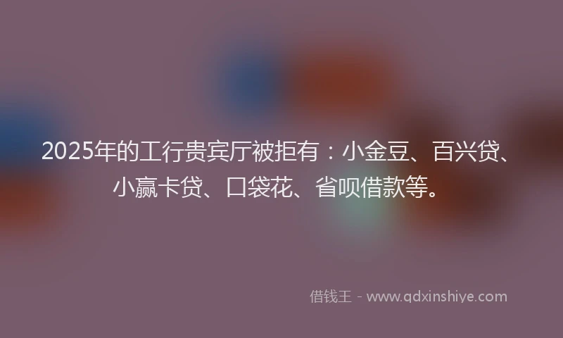 2025年的工行贵宾厅被拒有：小金豆、百兴贷、小赢卡贷、口袋花、省呗借款等。