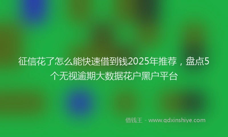 征信花了怎么能快速借到钱2025年推荐，盘点5个无视逾期大数据花户黑户平台
