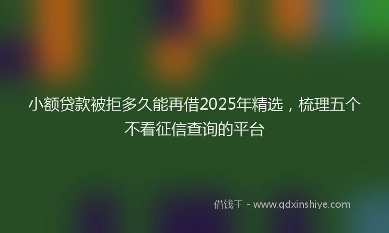 小额贷款被拒多久能再借2025年精选，梳理五个不看征信查询的平台