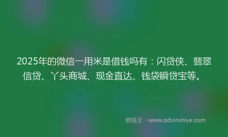 2025年的微信一用米是借钱吗有：闪贷侠、翡翠信贷、丫头商城、现金直达、钱袋瞬贷宝等。
