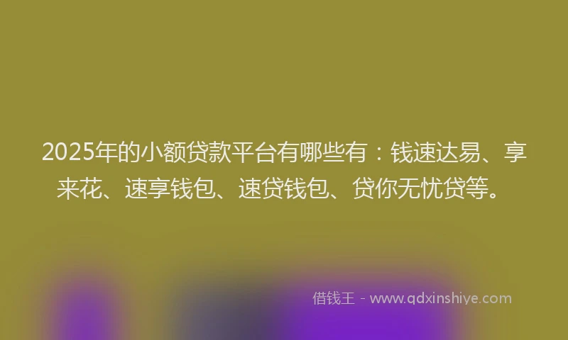 2025年的小额贷款平台有哪些有：钱速达易、享来花、速享钱包、速贷钱包、贷你无忧贷等。