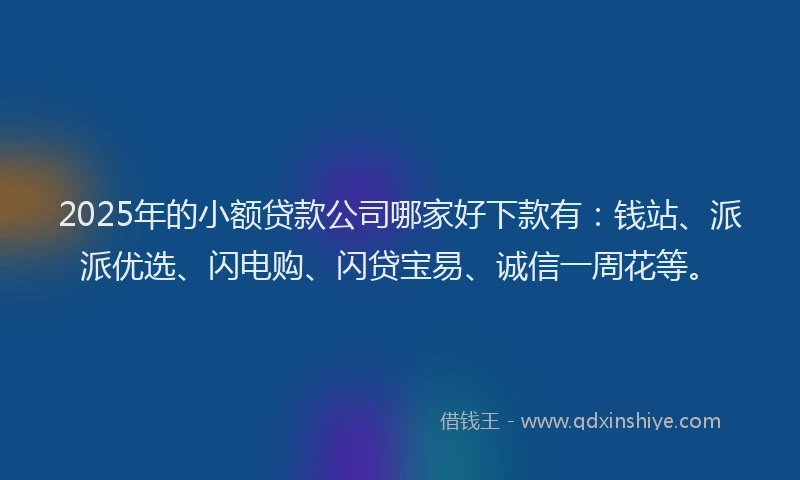2025年的小额贷款公司哪家好下款有：钱站、派派优选、闪电购、闪贷宝易、诚信一周花等。