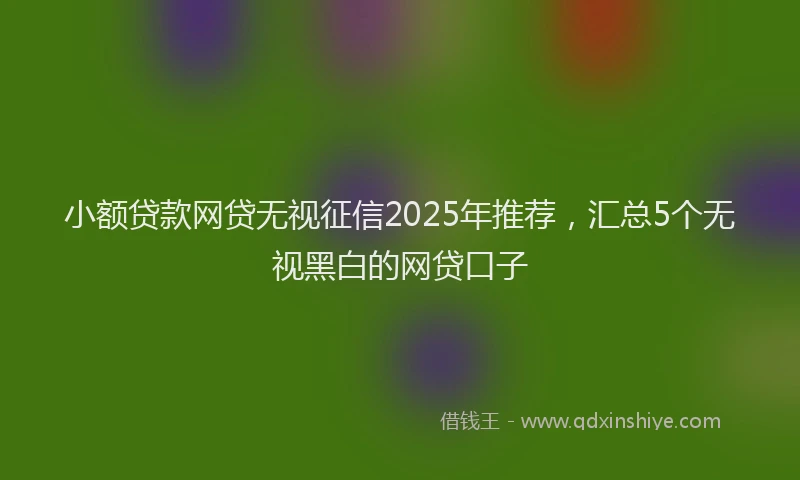 小额贷款网贷无视征信2025年推荐，汇总5个无视黑白的网贷口子