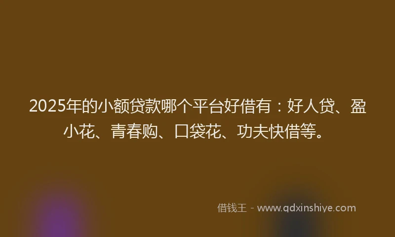 2025年的小额贷款哪个平台好借有：好人贷、盈小花、青春购、口袋花、功夫快借等。