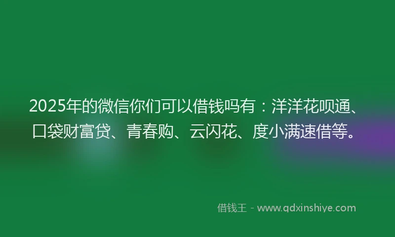 2025年的微信你们可以借钱吗有：洋洋花呗通、口袋财富贷、青春购、云闪花、度小满速借等。